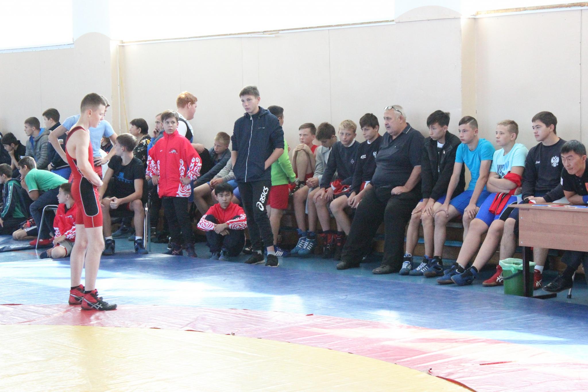 Первенство области по греко-римской борьбе