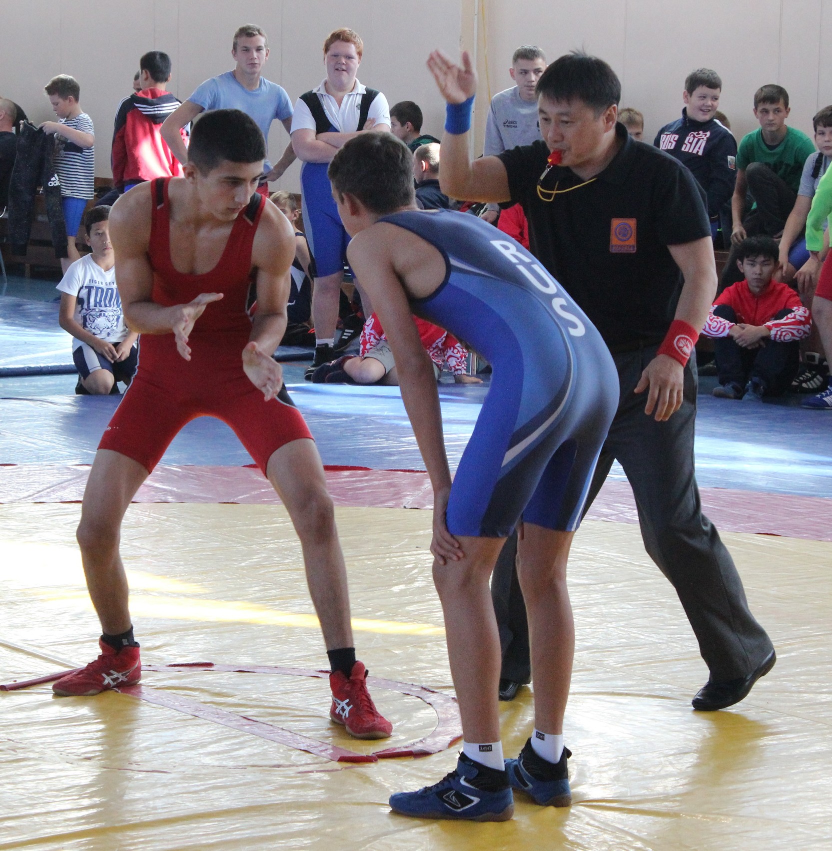 Первенство области по греко-римской борьбе