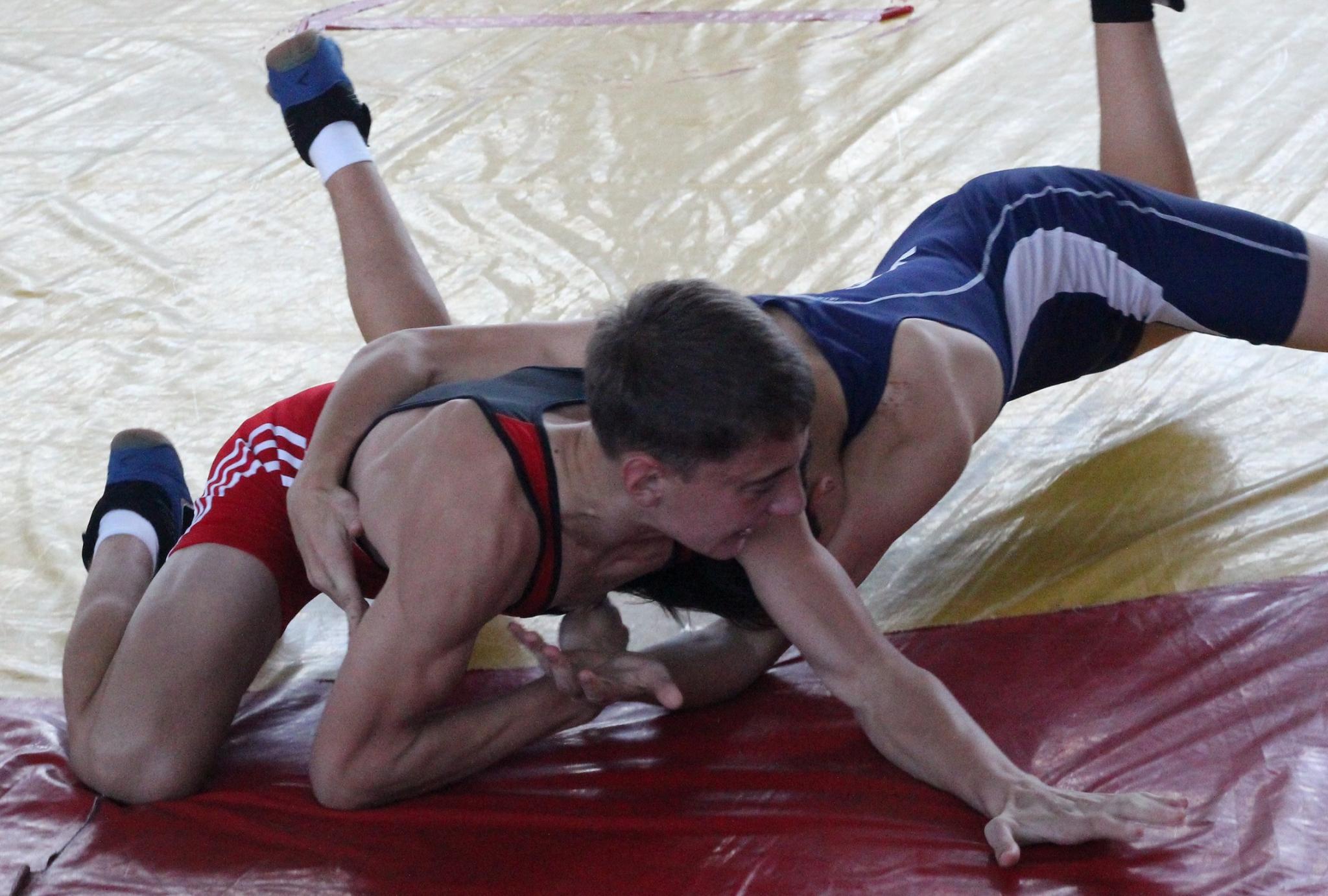 Первенство области по греко-римской борьбе