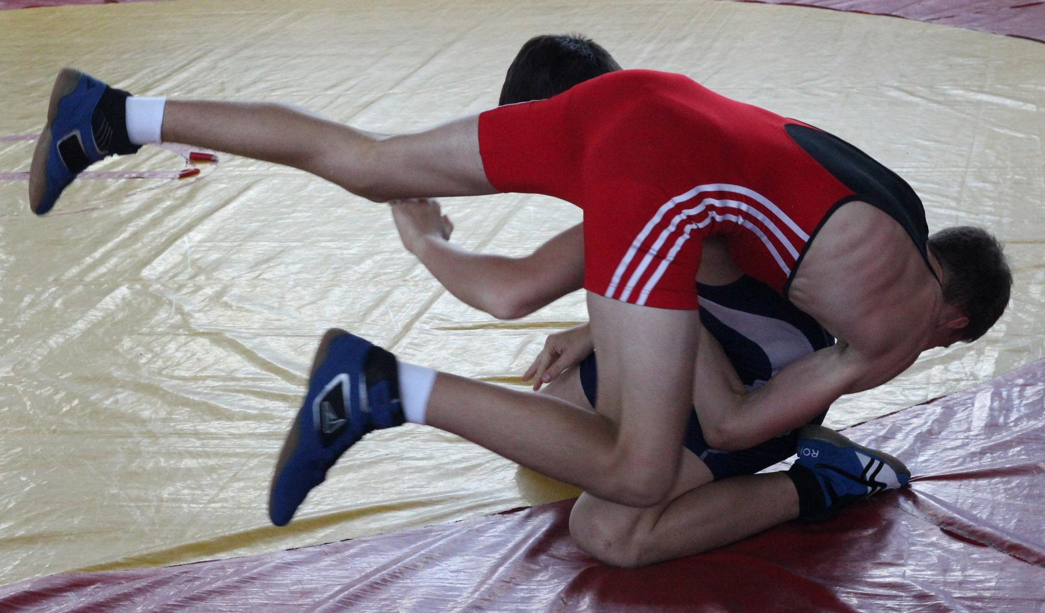 Первенство области по греко-римской борьбе