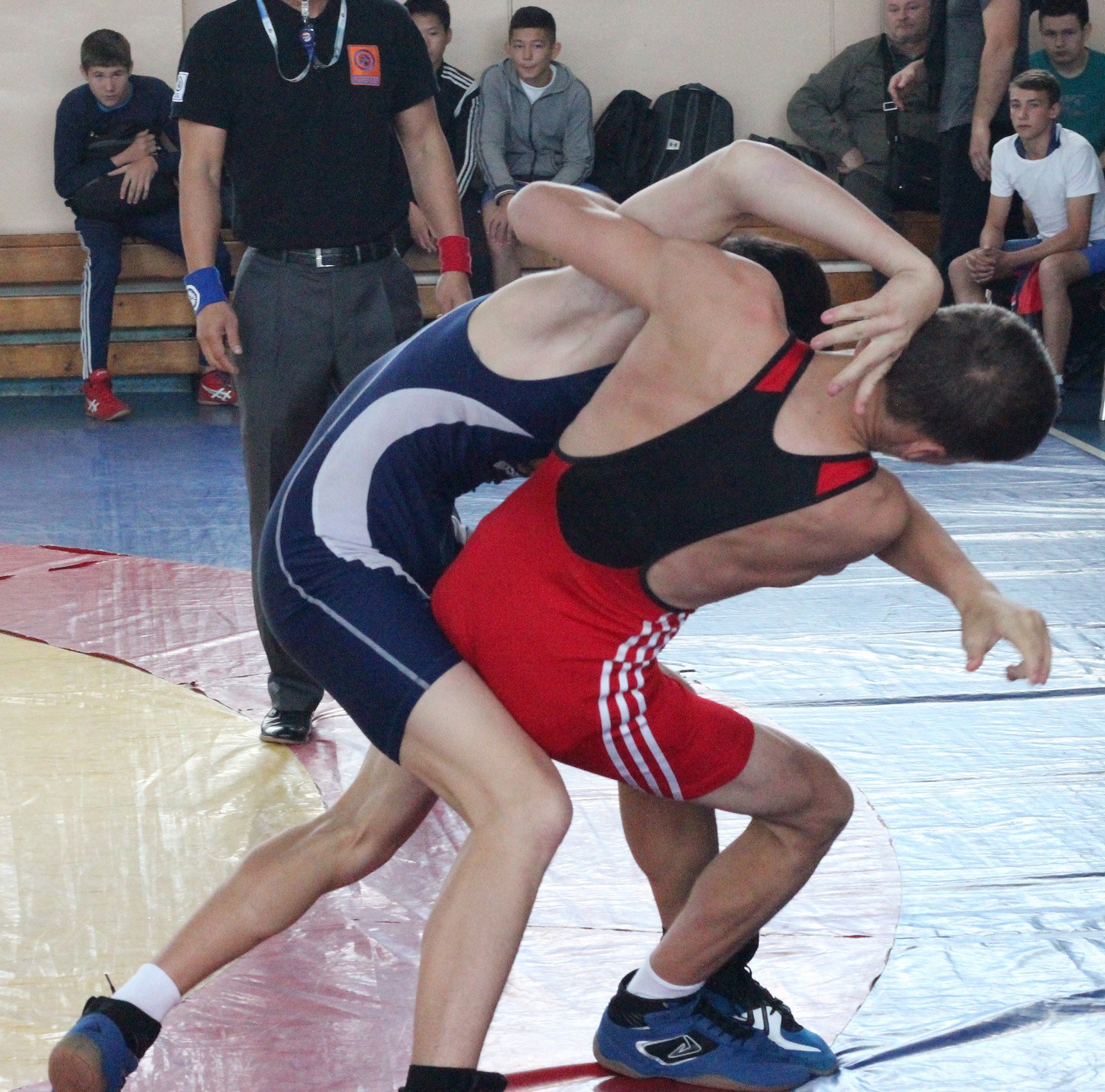 Первенство области по греко-римской борьбе