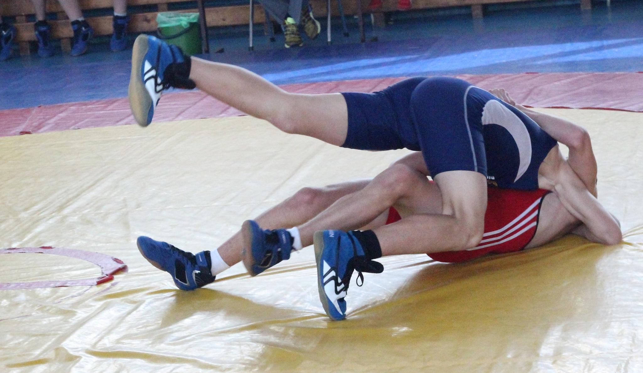 Первенство области по греко-римской борьбе