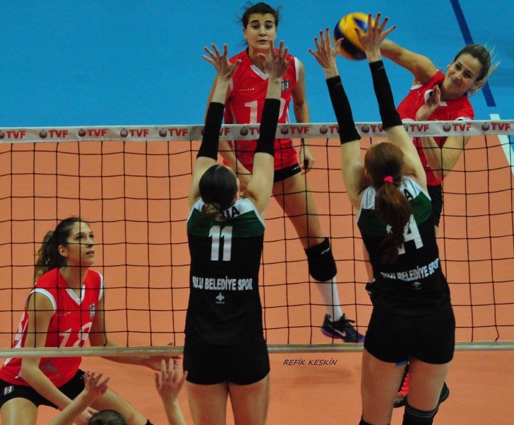 Диагональная "Сахалина" Елена Литовченко