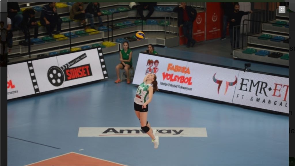 Диагональная "Сахалина" Елена Литовченко