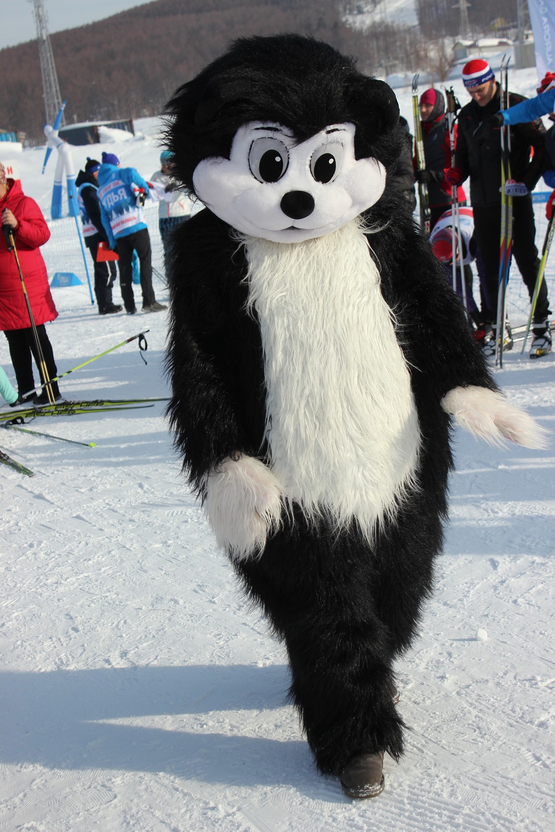 Лыжные гонки. Спартакиада ОИВ