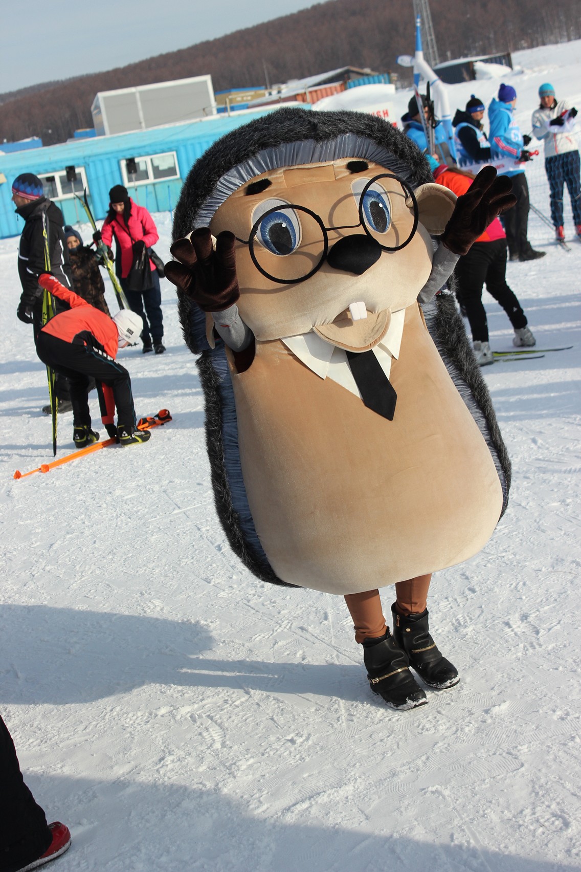 Лыжные гонки. Спартакиада ОИВ