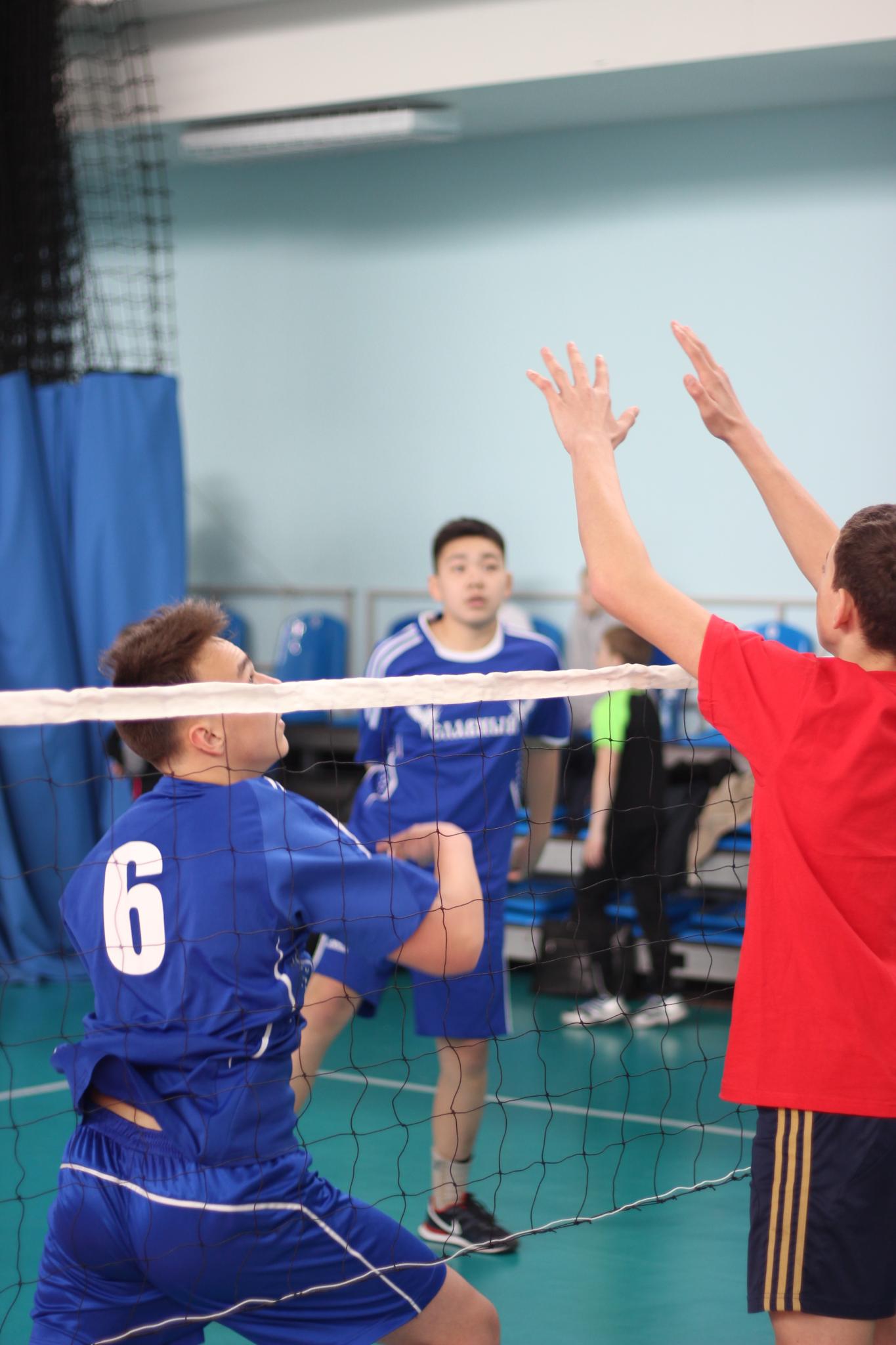 Первенство области по мини-волейболу