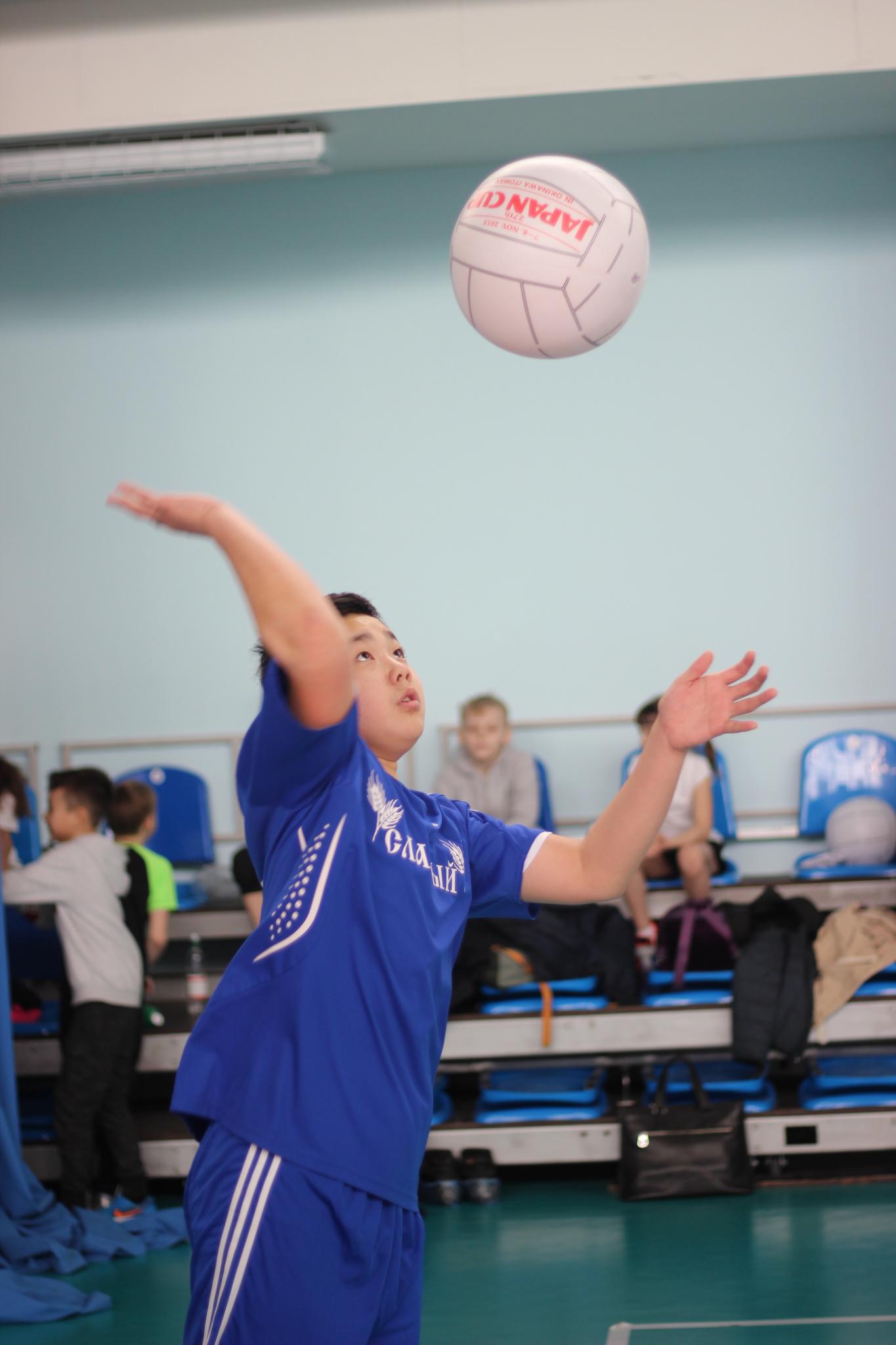Первенство области по мини-волейболу