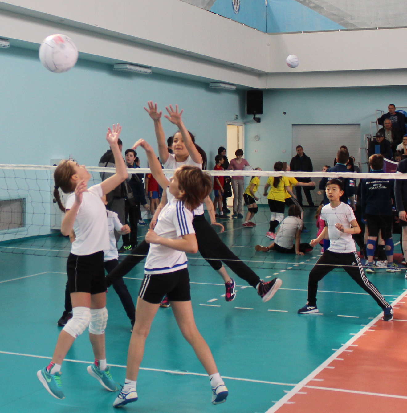 Первенство области по мини-волейболу
