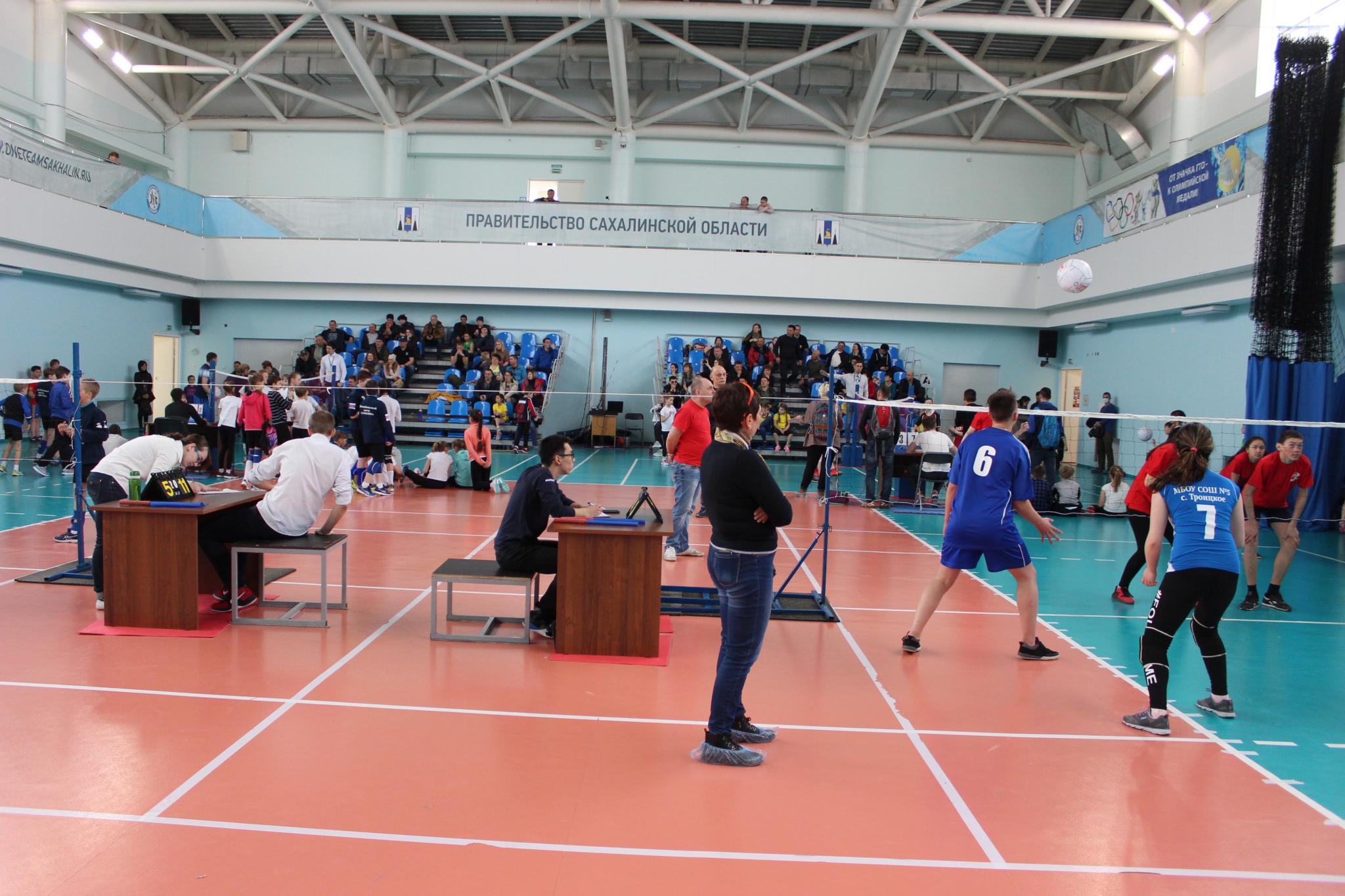 Первенство области по мини-волейболу