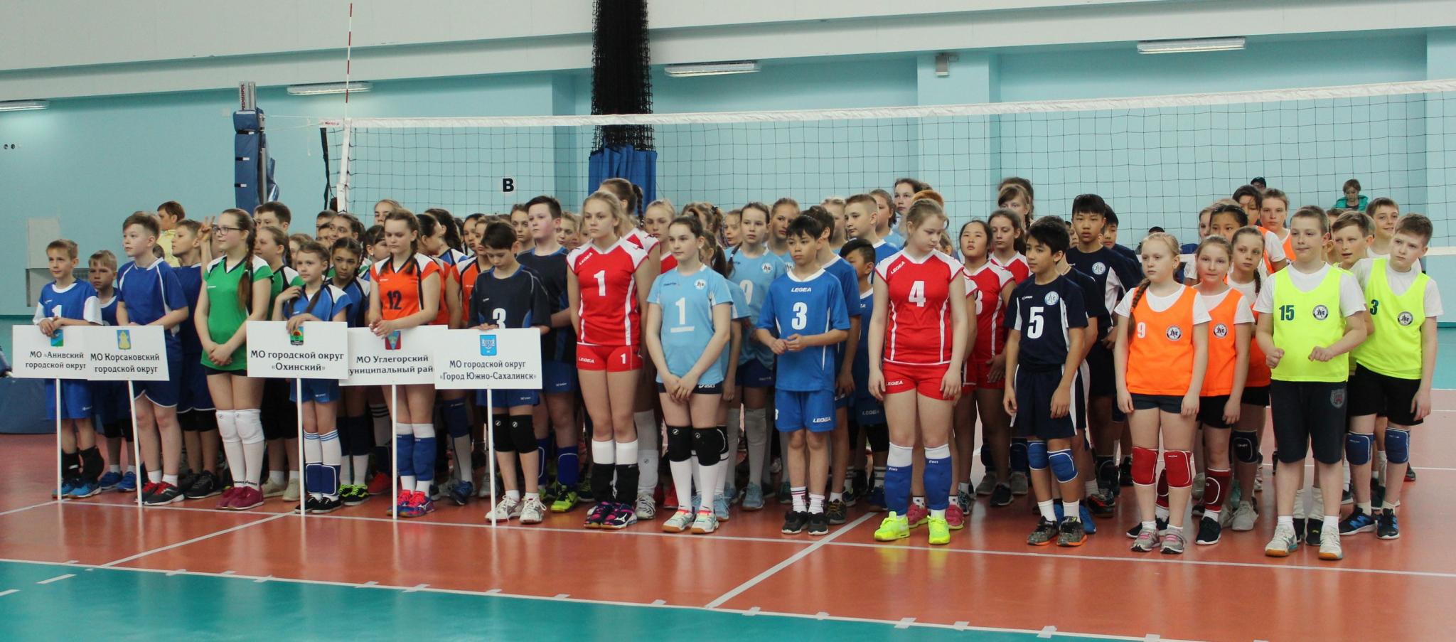 Первенство области по волейболу среди мальчиков и девочек 2006-2007 г.р.