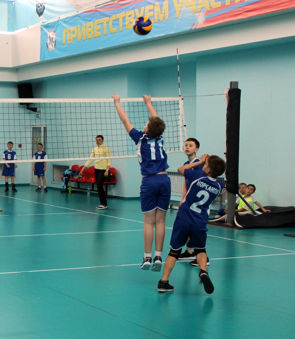Первенство области по волейболу среди мальчиков и девочек 2006-2007 г.р.