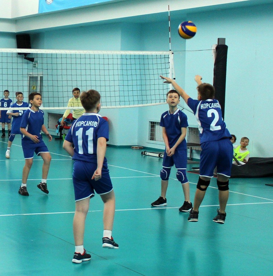 Первенство области по волейболу среди мальчиков и девочек 2006-2007 г.р.