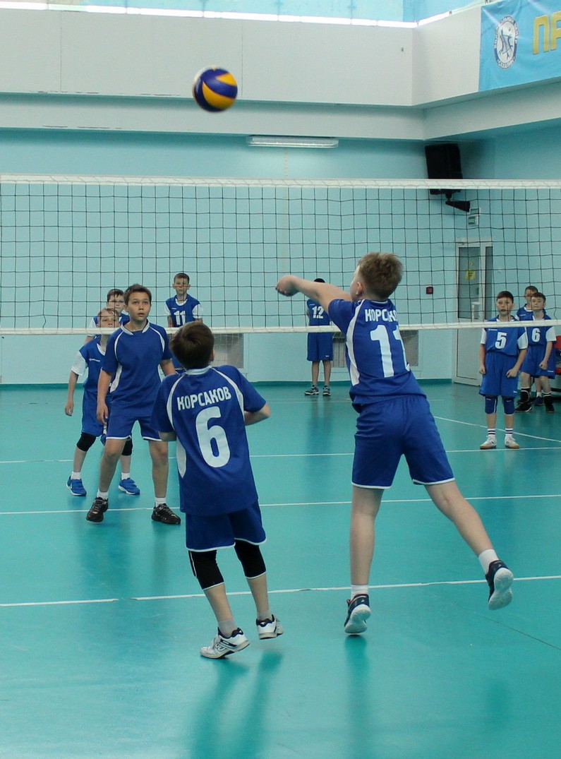 Первенство области по волейболу среди мальчиков и девочек 2006-2007 г.р.