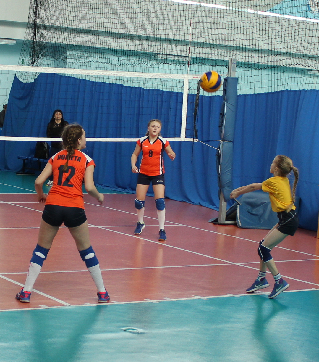 Первенство области по волейболу среди мальчиков и девочек 2006-2007 г.р.