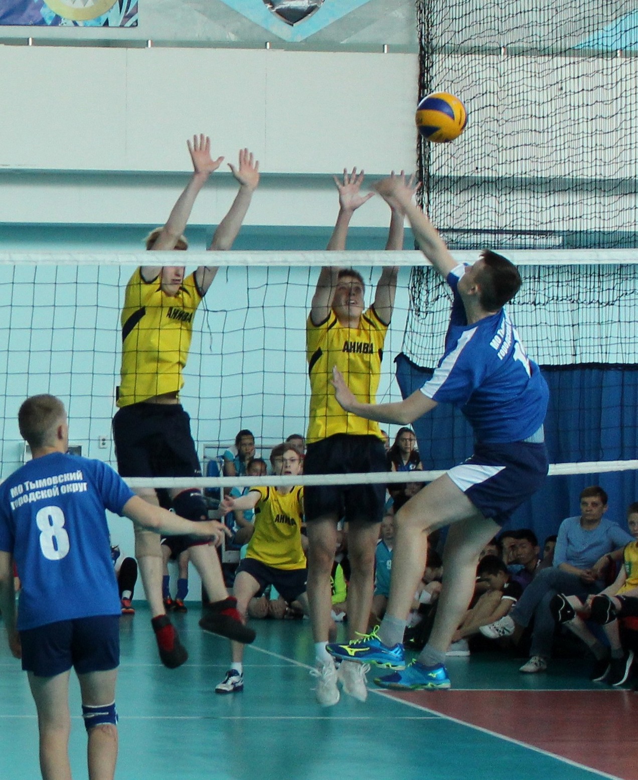 Открытое первенство Сахалинской области по волейболу среди команд юношей и девушек