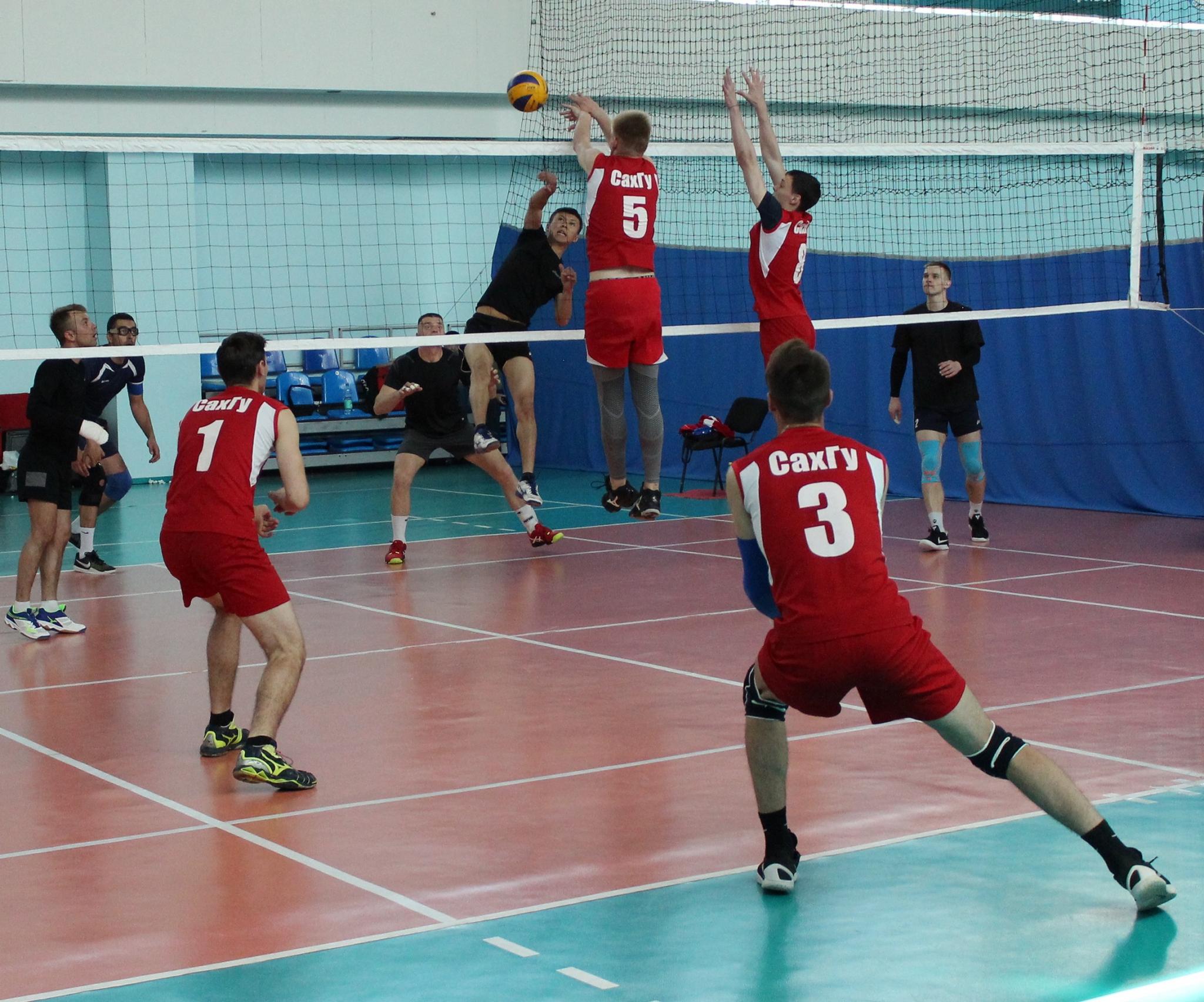 Турнир, посвященный 95-летию общества "Динамо"