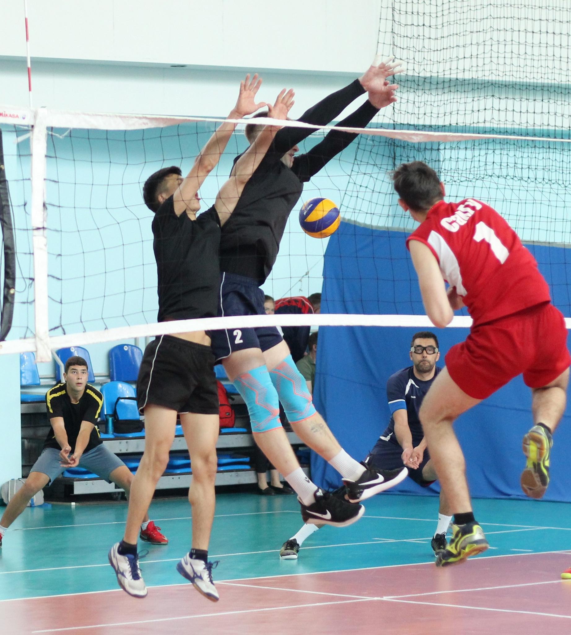 Турнир, посвященный 95-летию общества "Динамо"