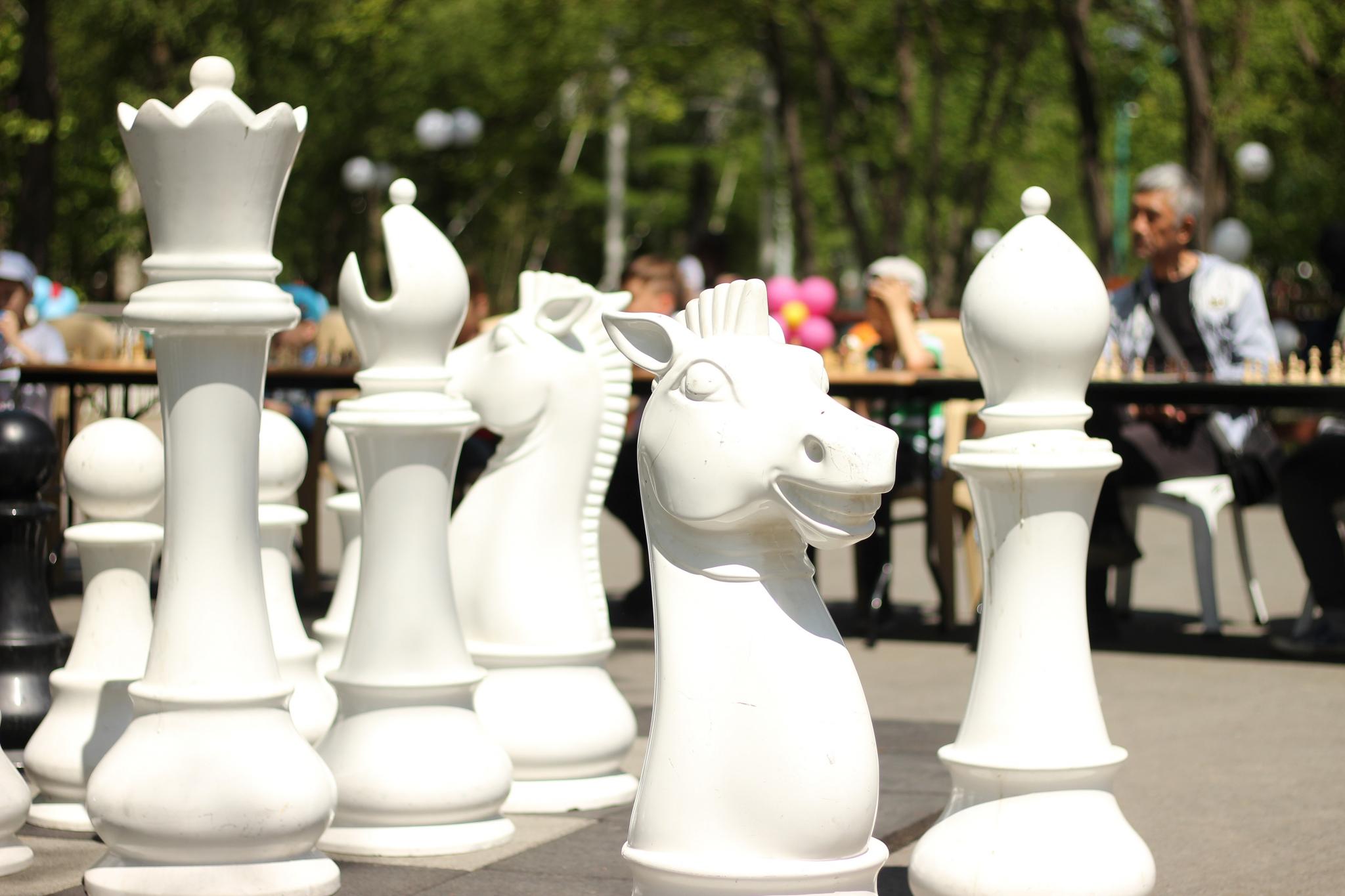 Праздник шахмат, посвященный Международному дню защиты детей