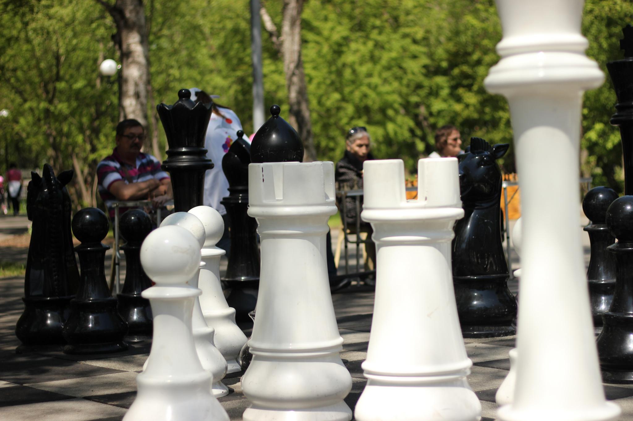 Праздник шахмат, посвященный Международному дню защиты детей