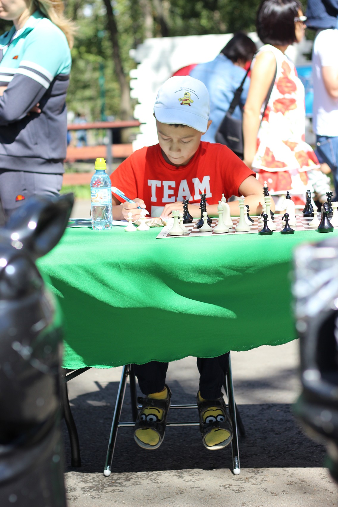 Праздник шахмат в городском парке