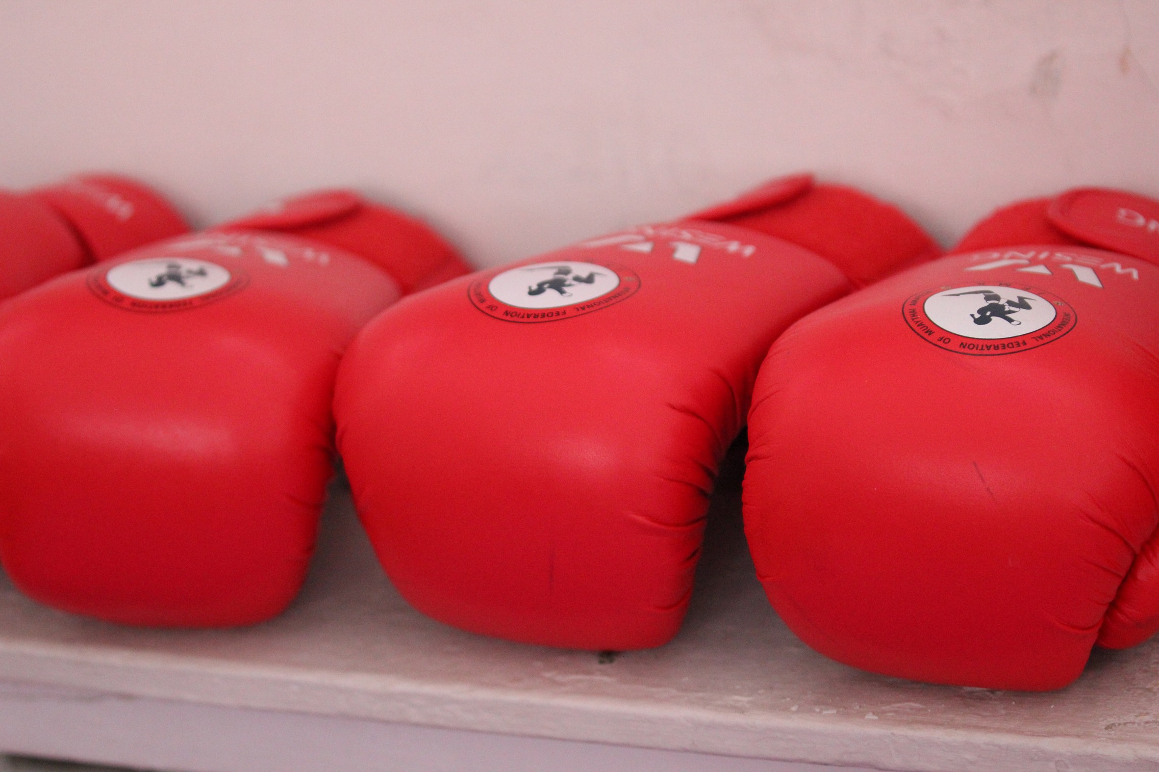 Чемпионат и первенство области по тайскому боксу