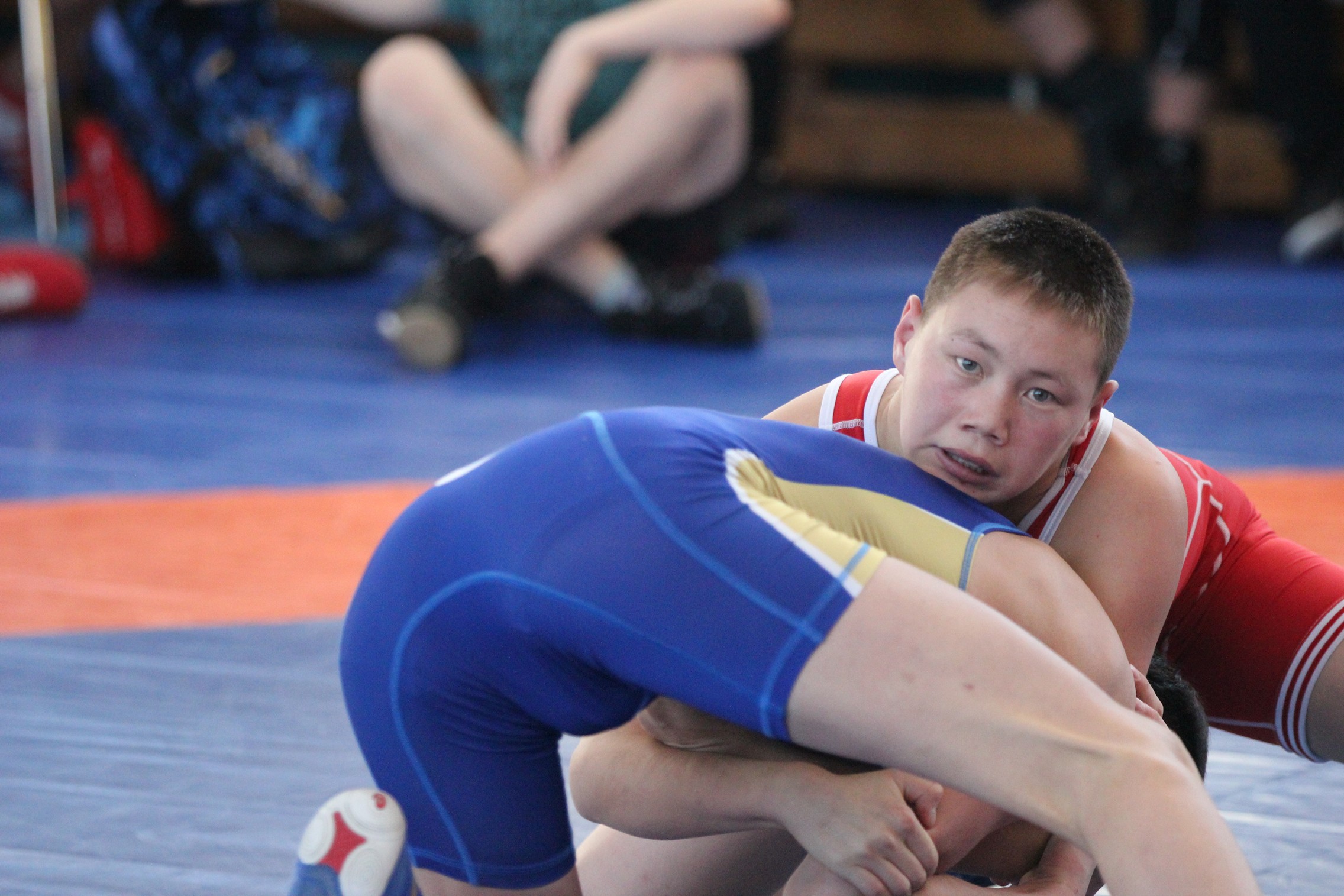 Первенство области по вольной борьбе