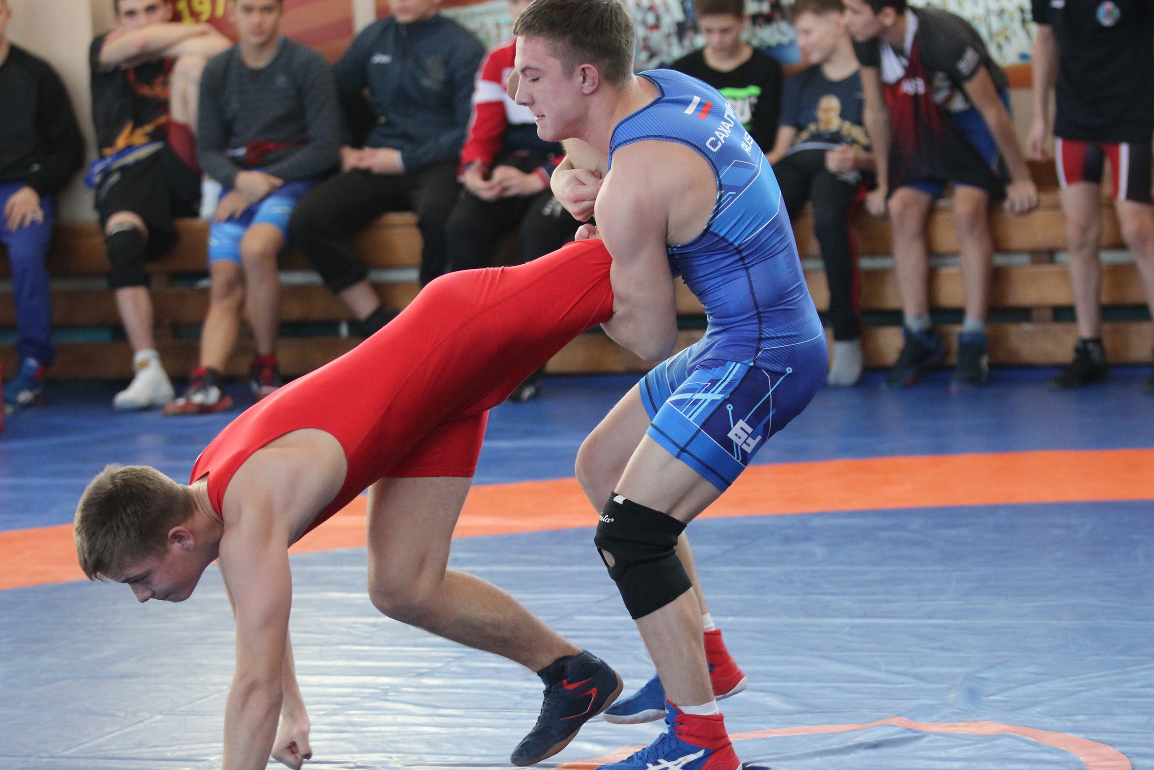 Первенство области по вольной борьбе