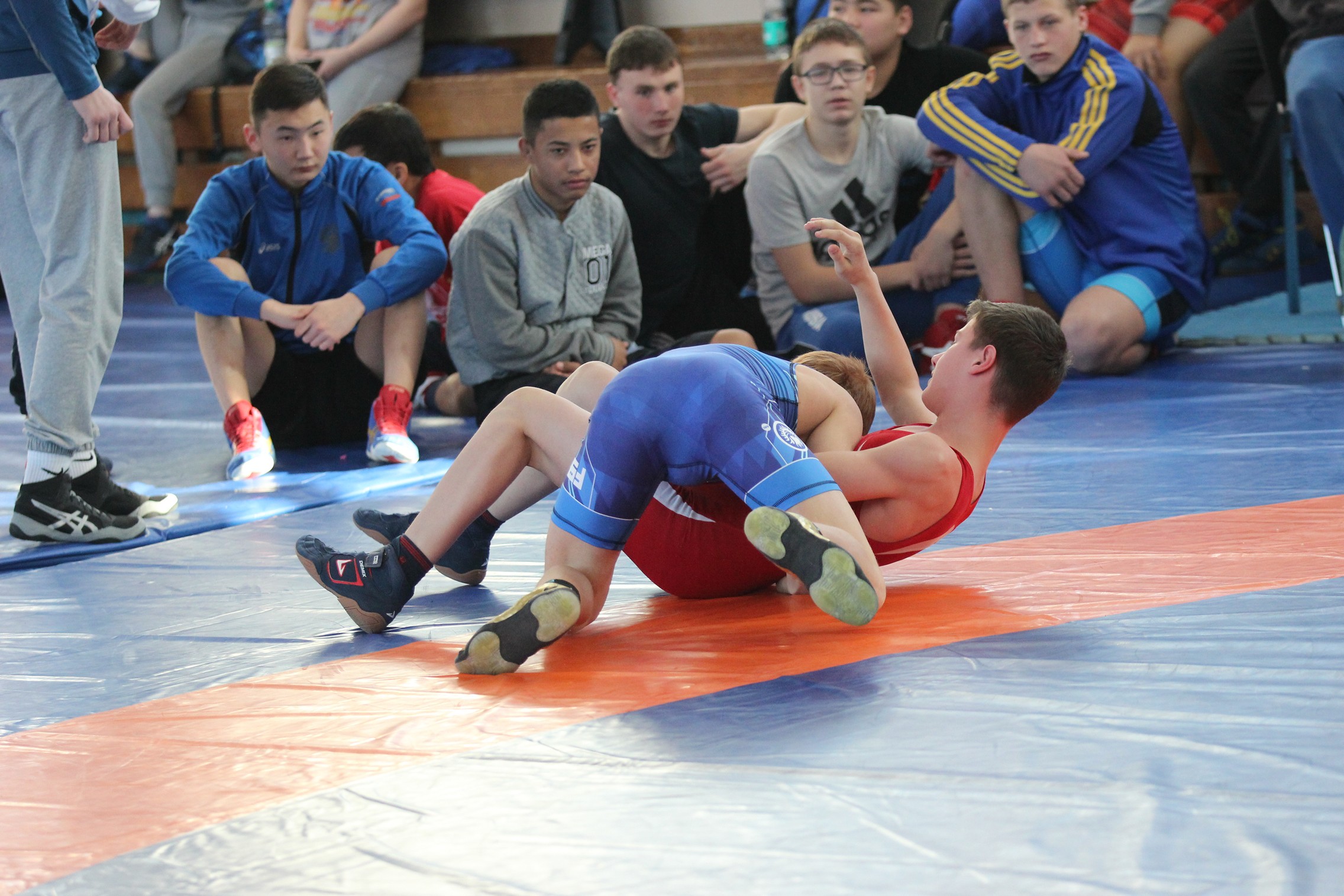 Первенство области по вольной борьбе