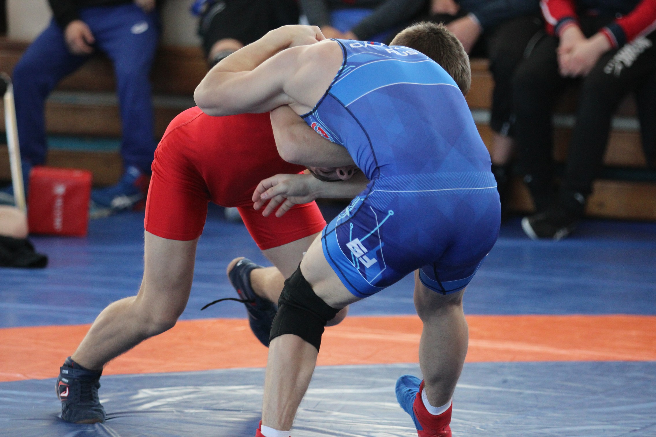 Первенство области по вольной борьбе