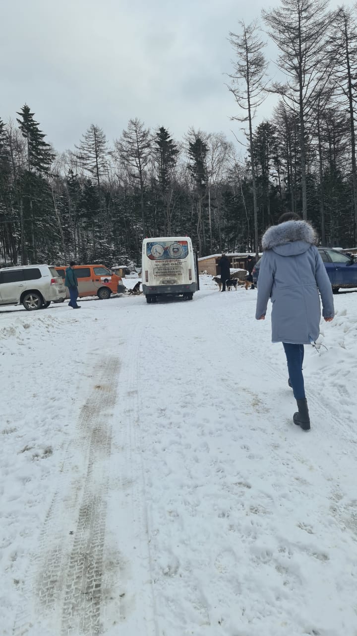Воспитанники "СШ самбо и дзюдо" посетили приют для животных
