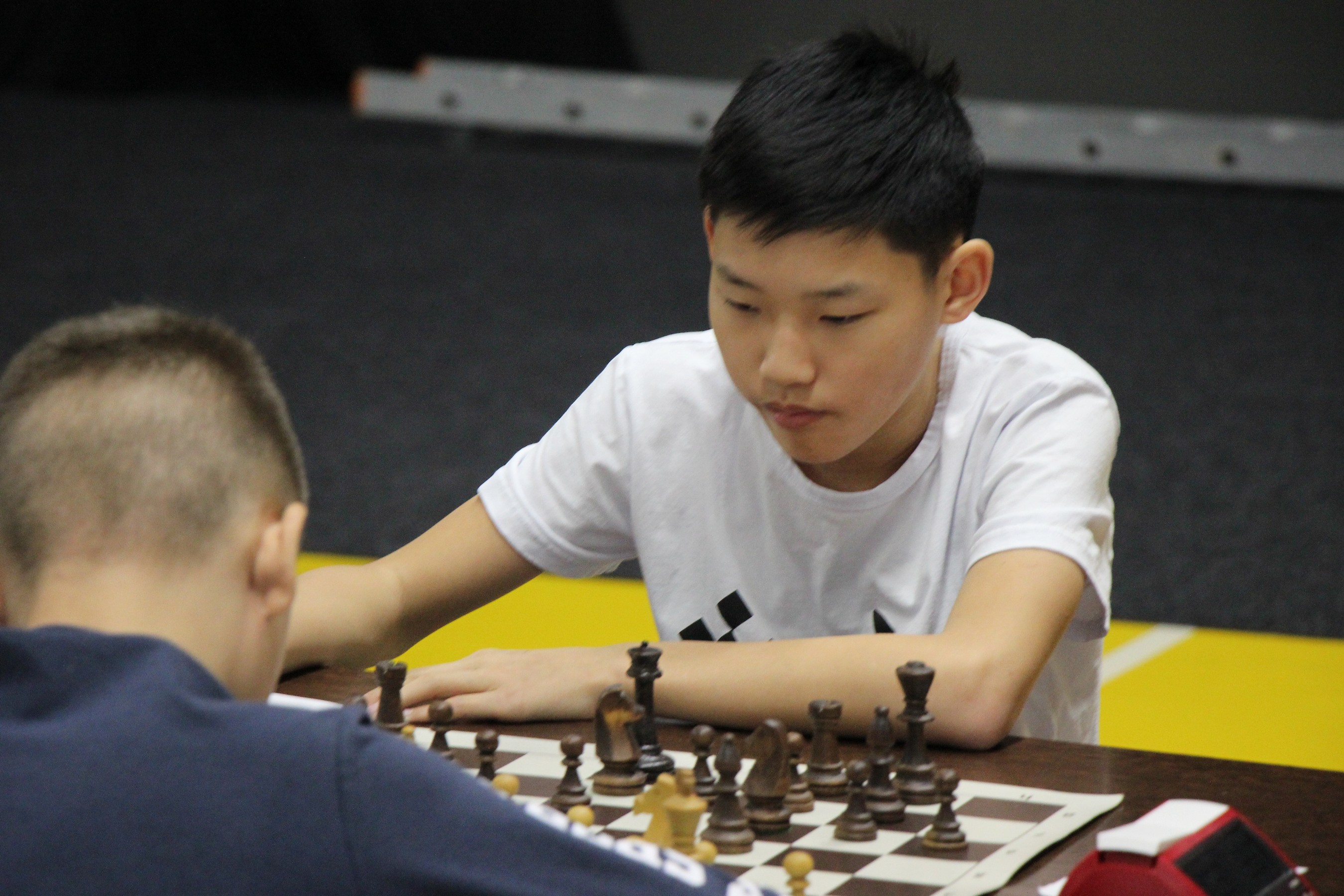 Первенство области по классическим шахматам