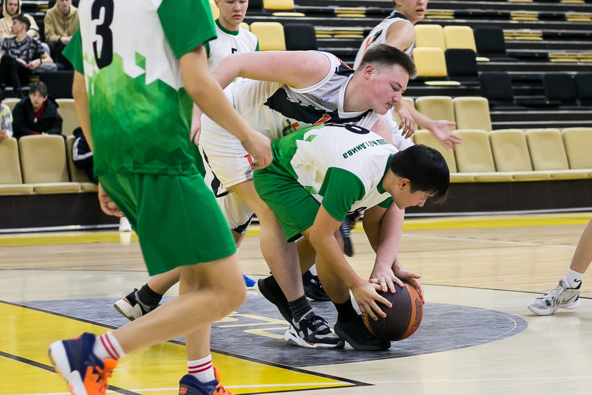 Дивизиональный этап чемпионата ШБЛ "КЭС-БАСКЕТ"