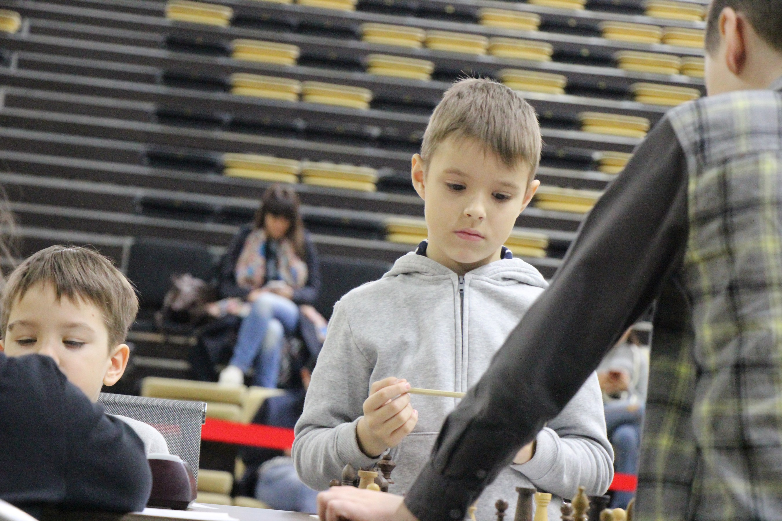 Первенство области по классическим шахматам