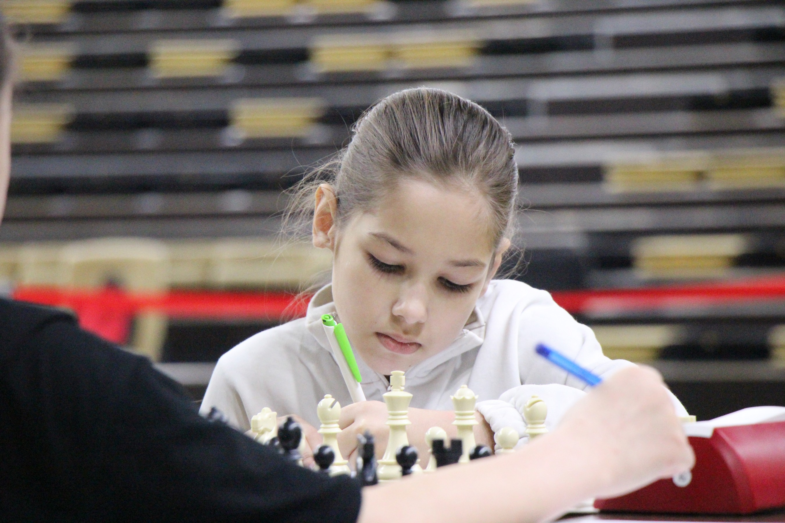 Первенство области по классическим шахматам