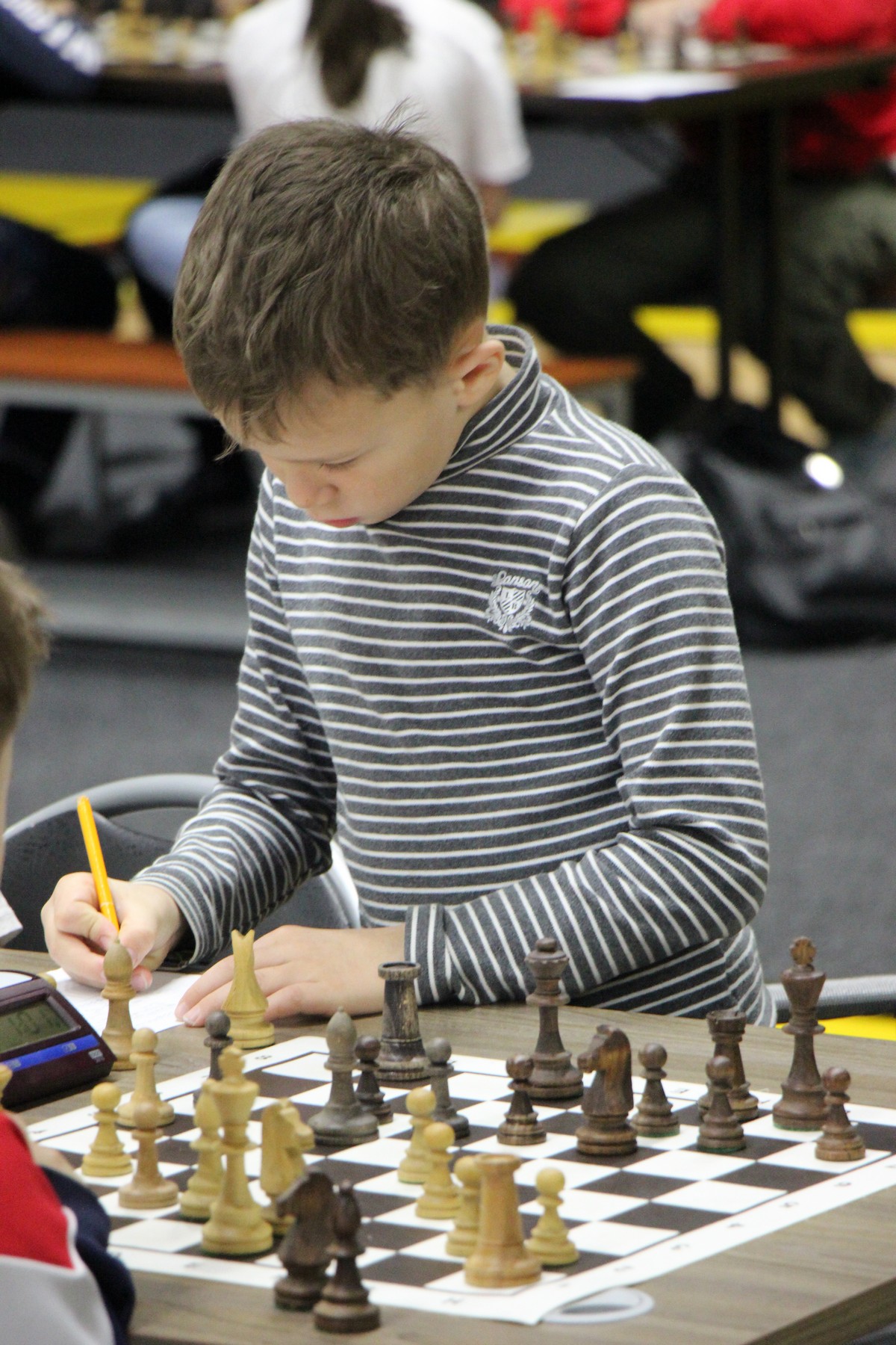 Первенство области по классическим шахматам