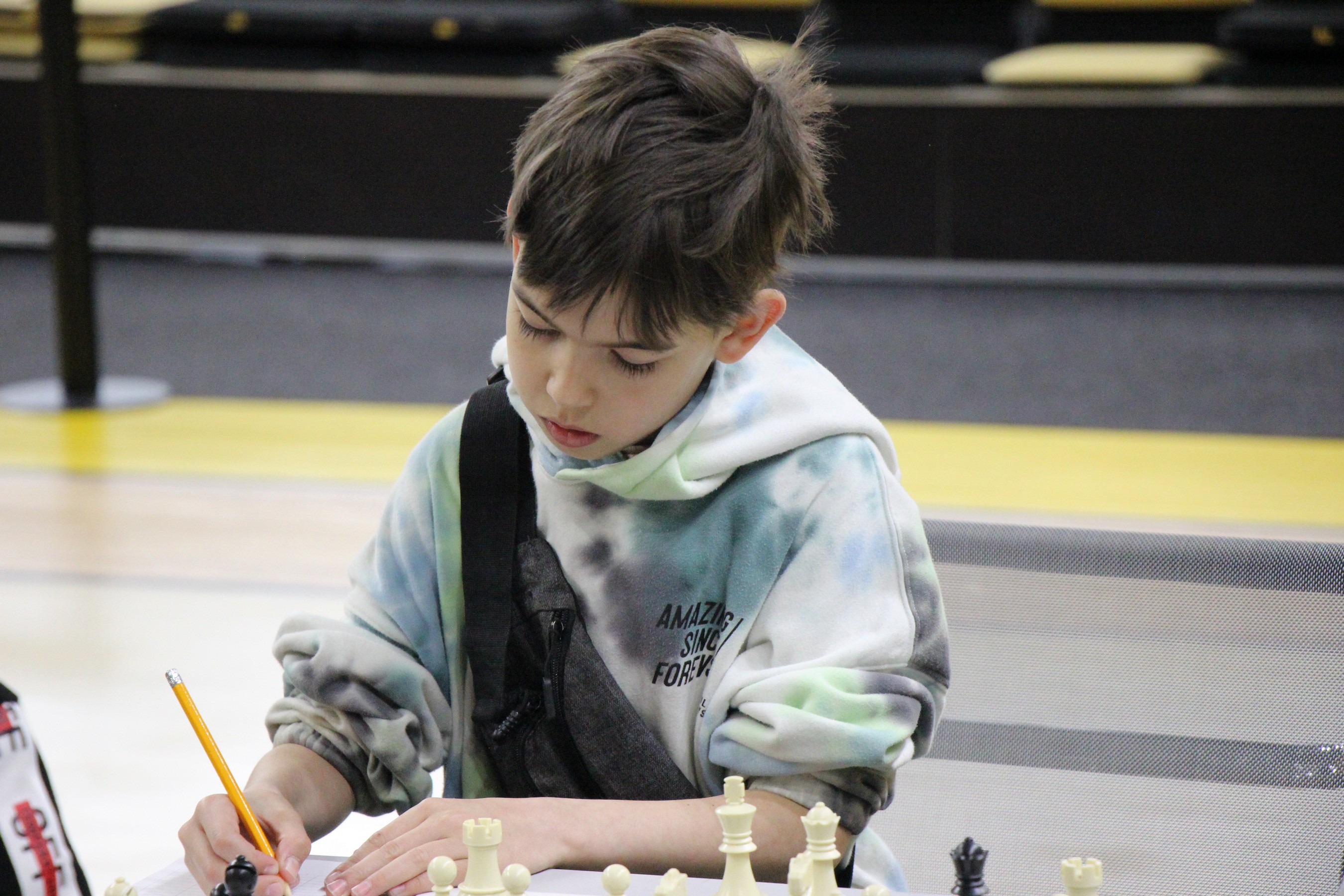 Первенство области по классическим шахматам