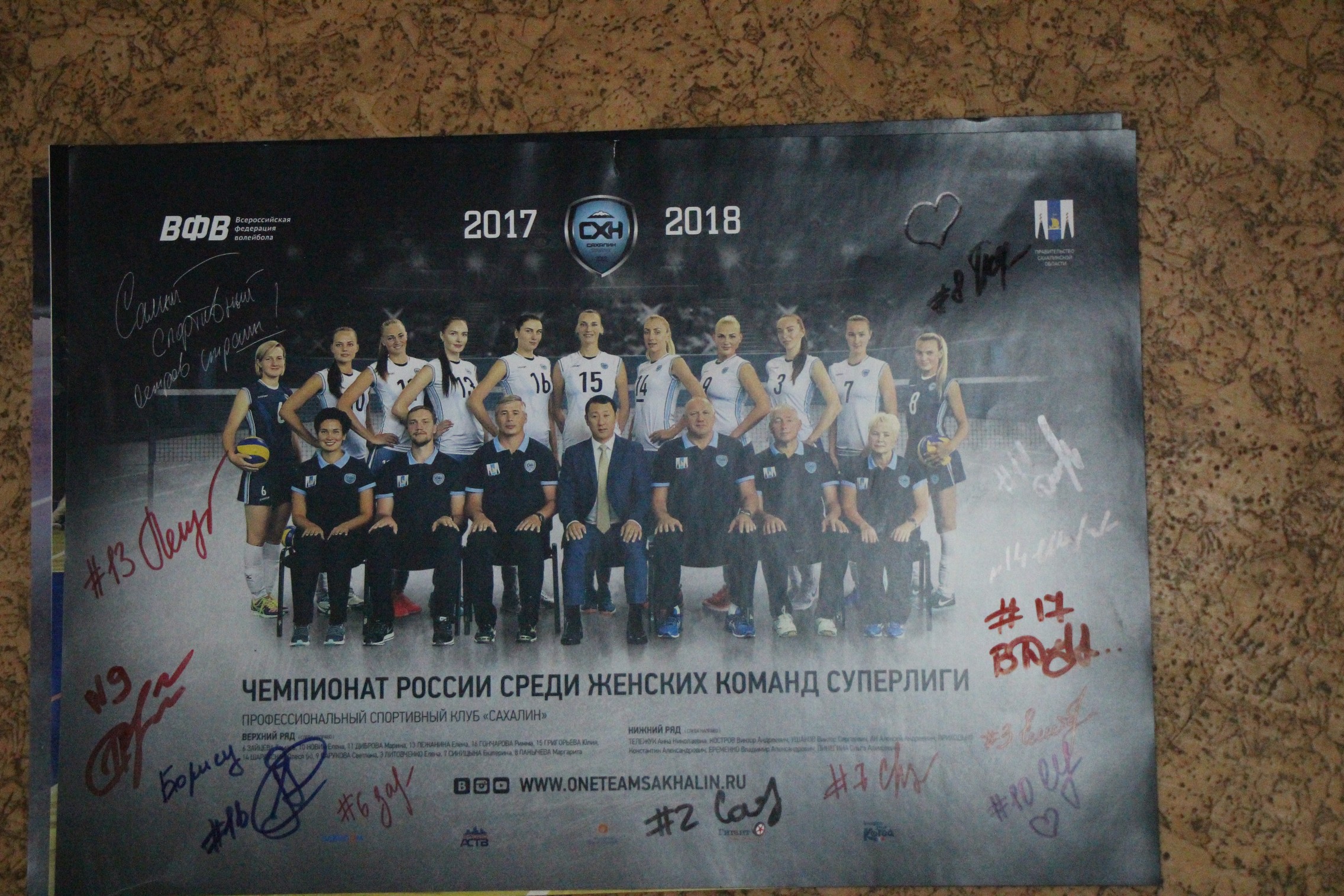 Волейбольные афиши