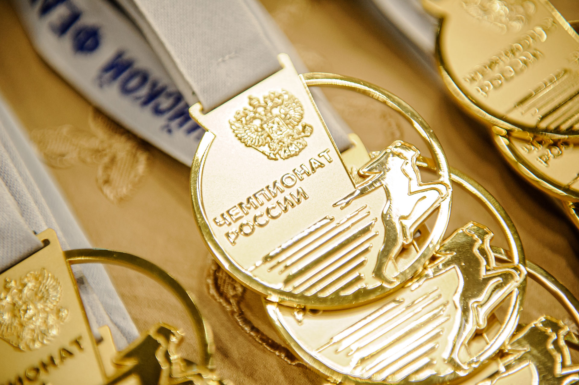 Чемпионат России по спорту глухих (дисциплина "каратэ")