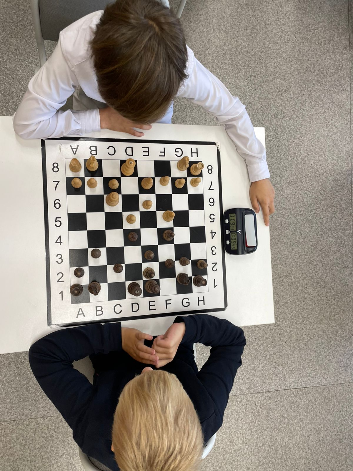Шахматный турнир на Шикотане