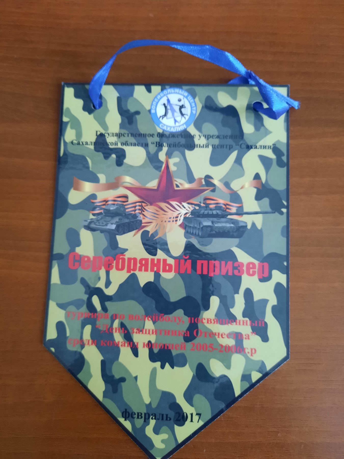 Волейбольные вымпелы