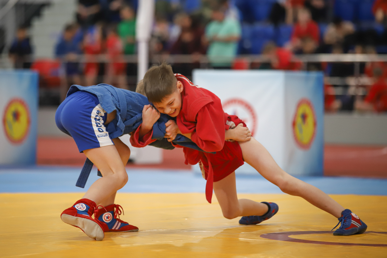 Всероссийский день самбо