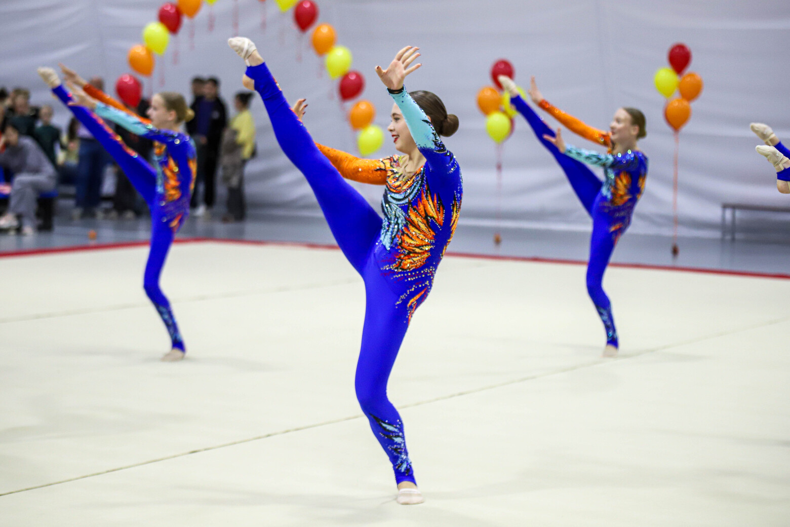 Открытый турнир по эстетической гимнастике