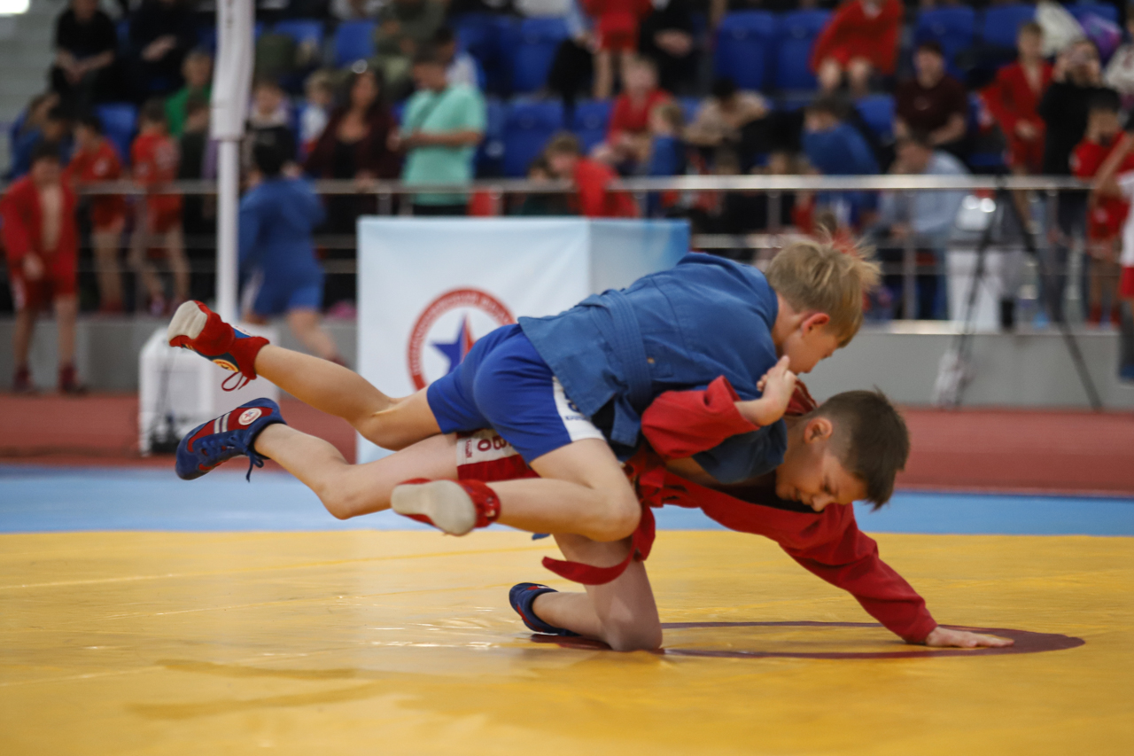 Всероссийский день самбо