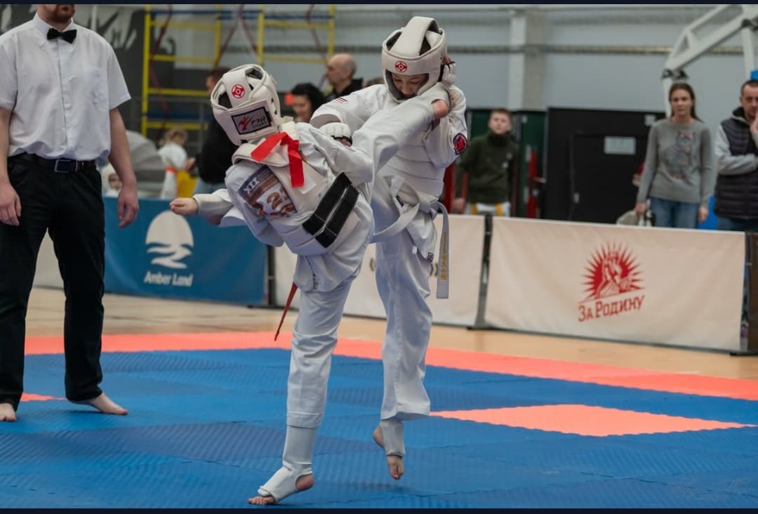 Международный турнир «Кубок Балтики Киокушин Профи»