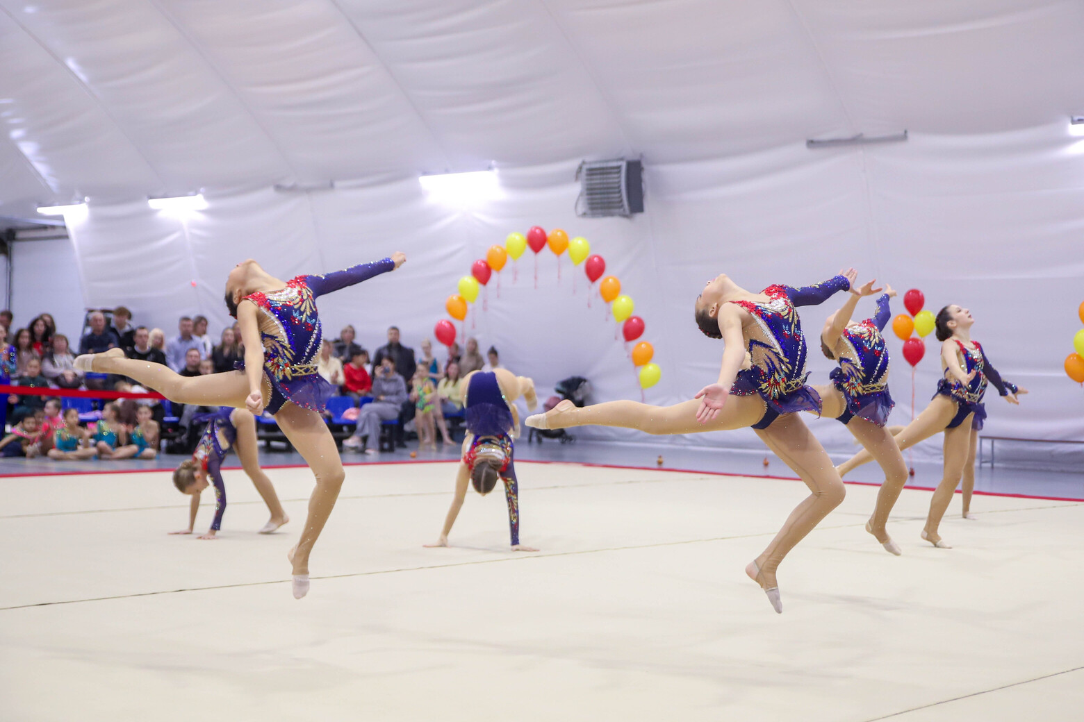 Открытый турнир по эстетической гимнастике