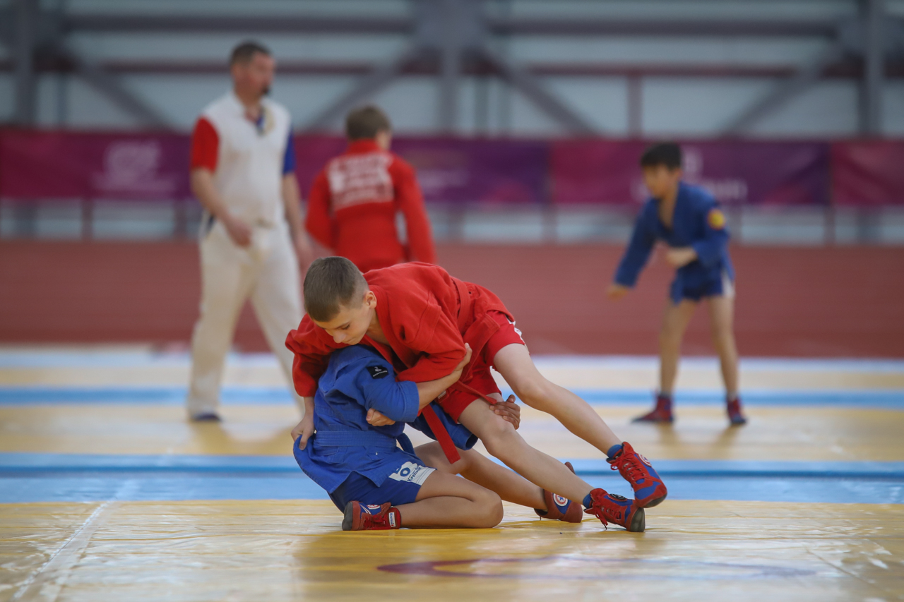 Всероссийский день самбо