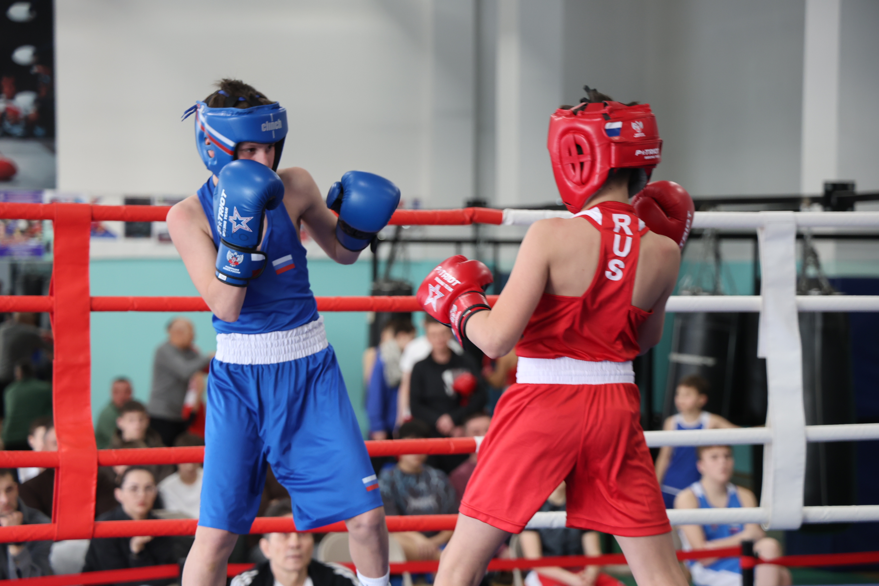 Первенство области по боксу