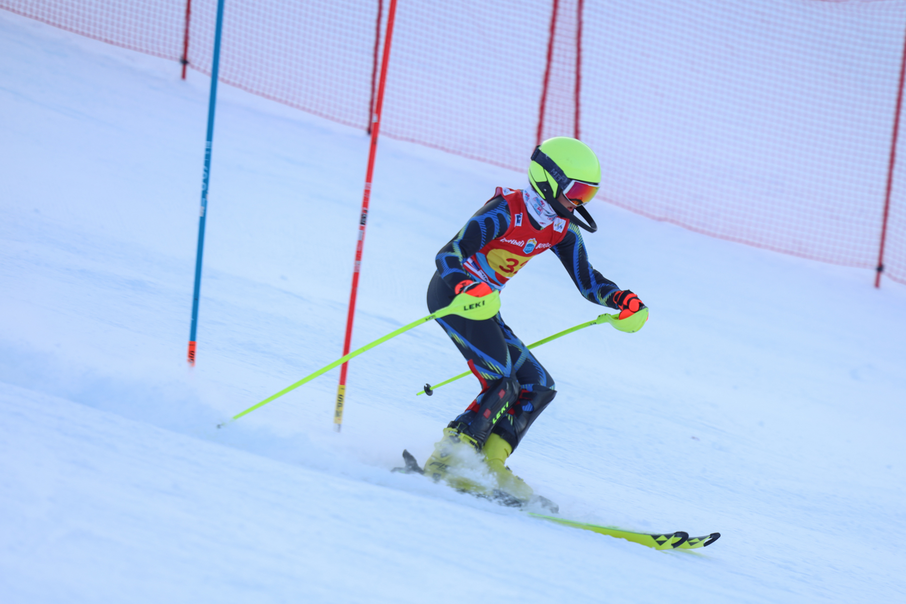 Чемпионат и первенство области по горным лыжам