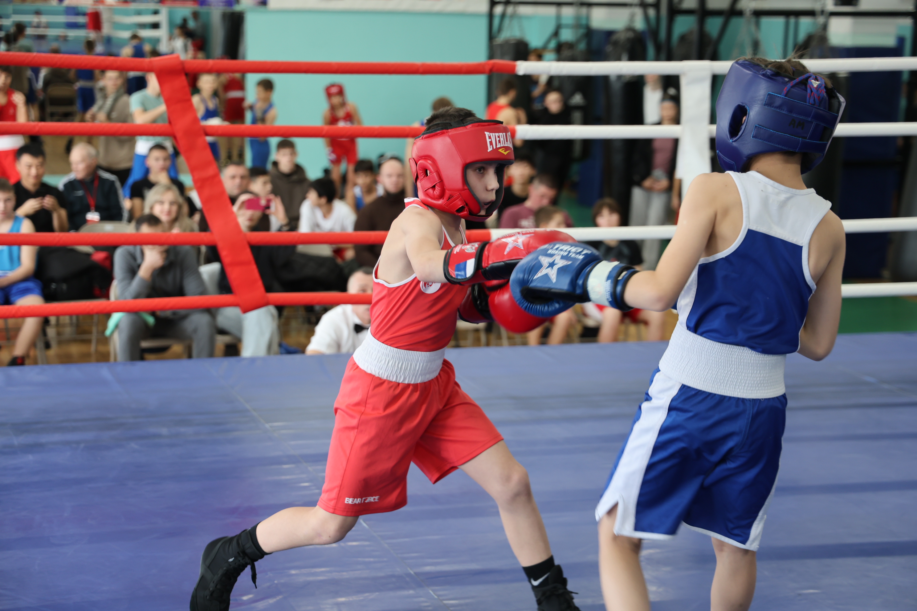 Первенство области по боксу